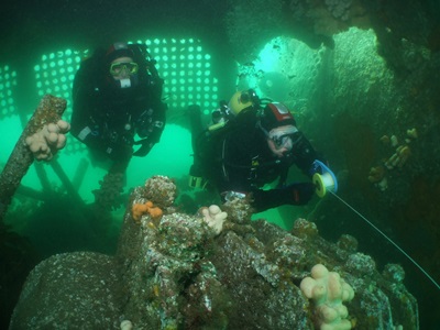 Coryton 2 underwater ceidiog